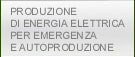 Produzione di energia elettrica per emergenza e autoproduzione